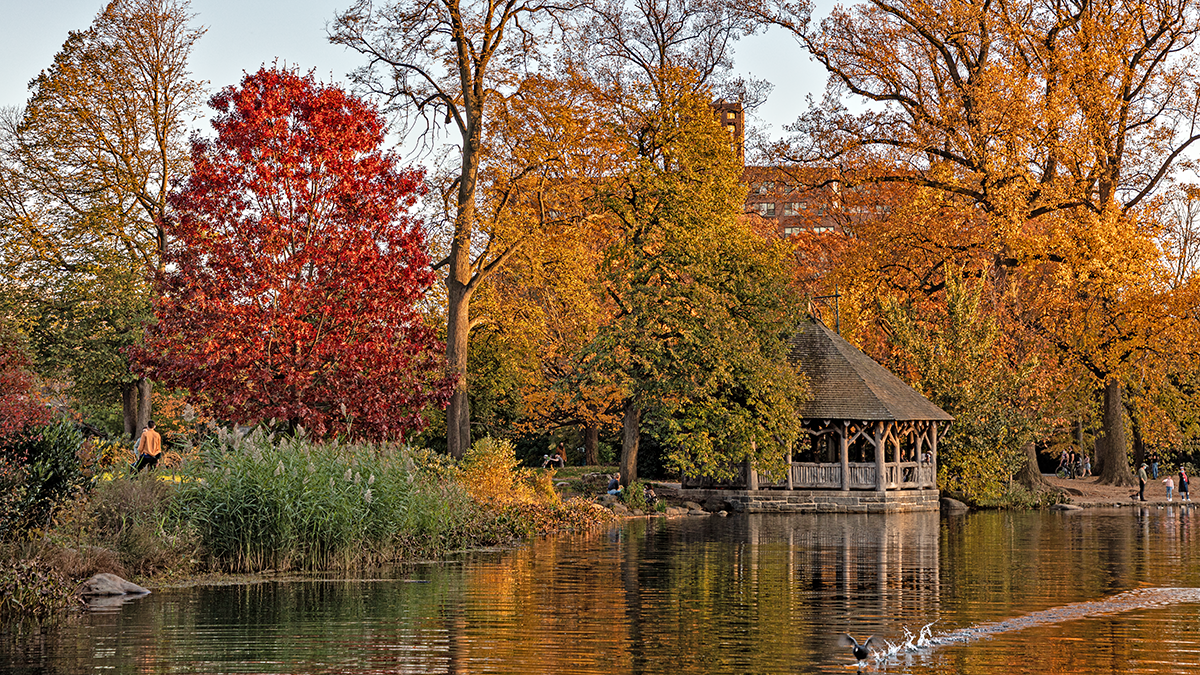 Prospect Park